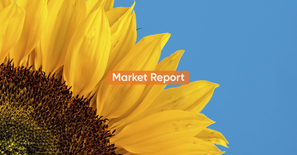 Market report <BR> OCTOBER 2020