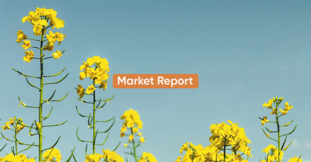 Market report <BR>1H NOVEMBER 2020