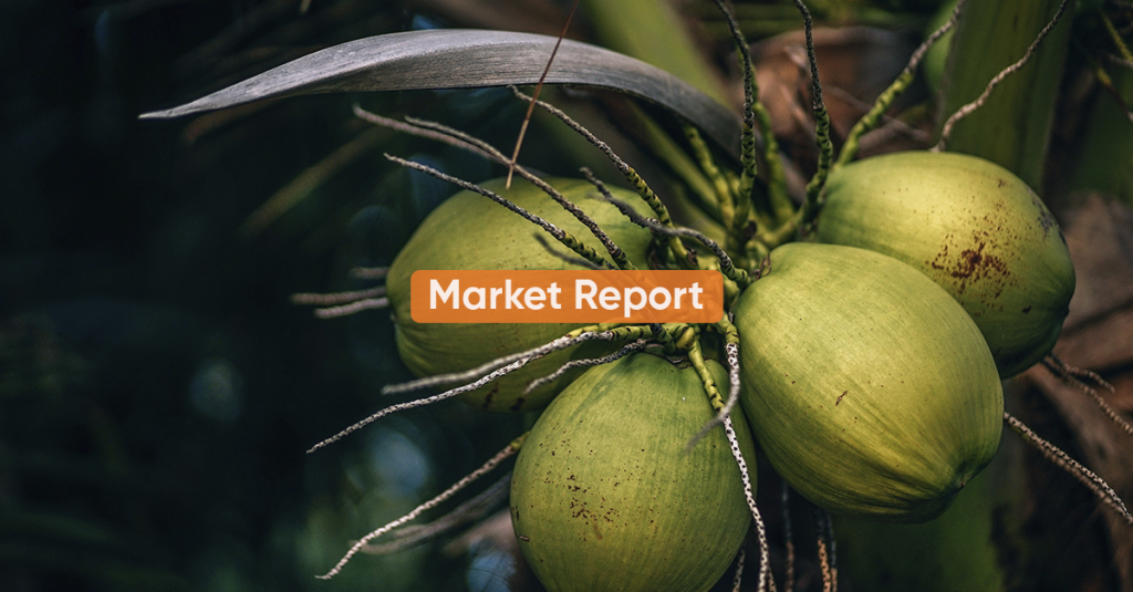 Market report <br> 2H NOVEMBER 2020