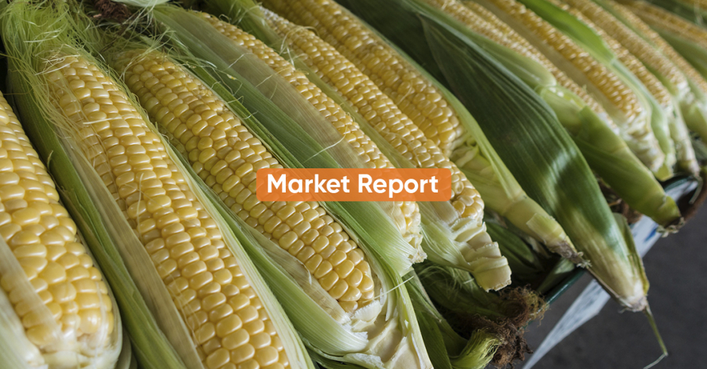 Market Report JANUARY 2021