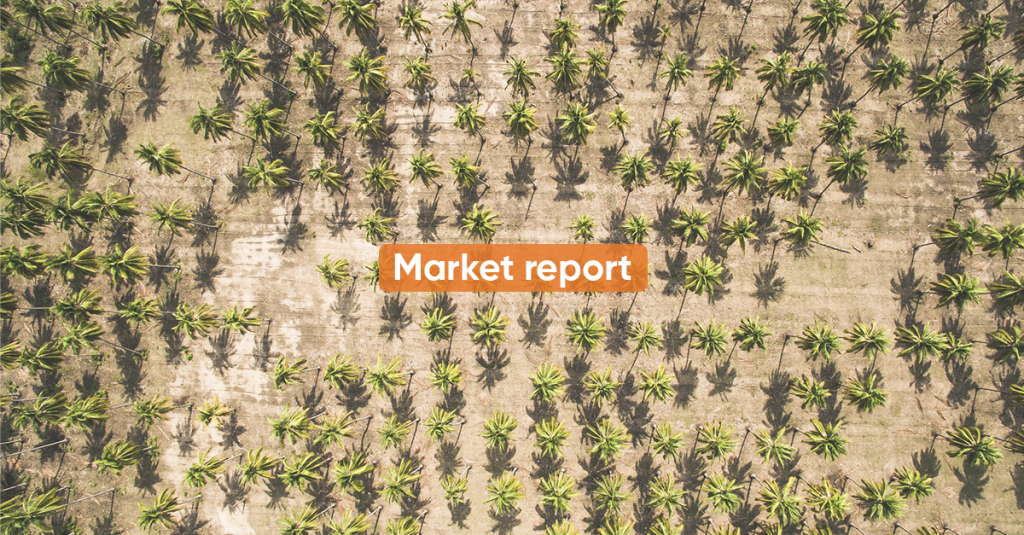 Market report FEBRUARY 2021