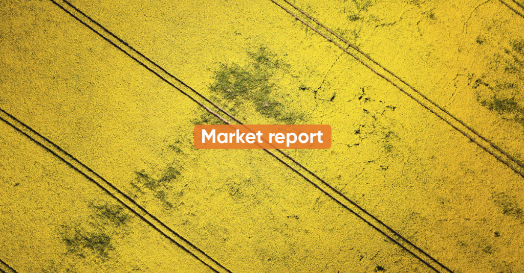 Market report MARCH 2021