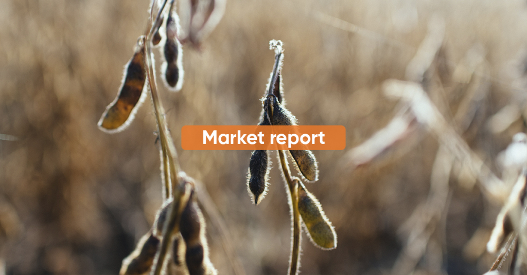 Market Report JUNE