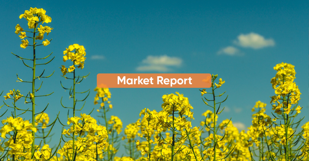 Market report MAY 2022