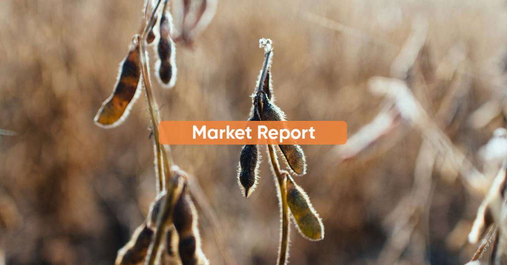 Market report JUNE 2022
