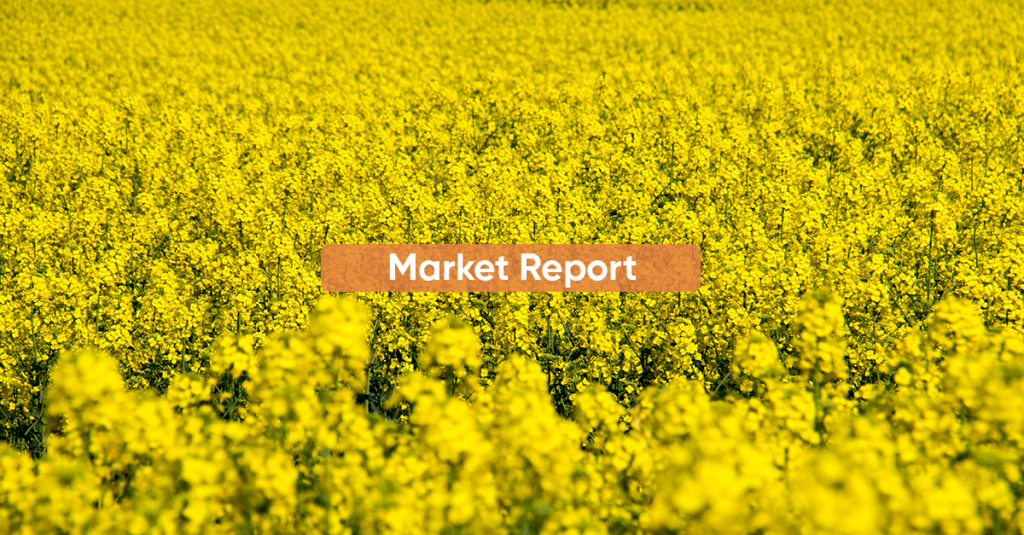 Market report SEPTEMBER 2022