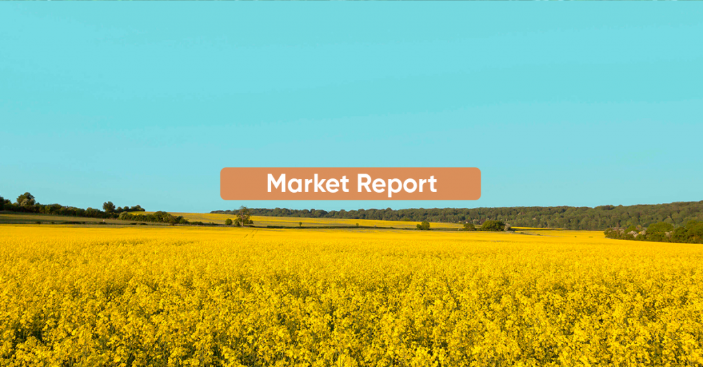 Market report DECEMBER 2022
