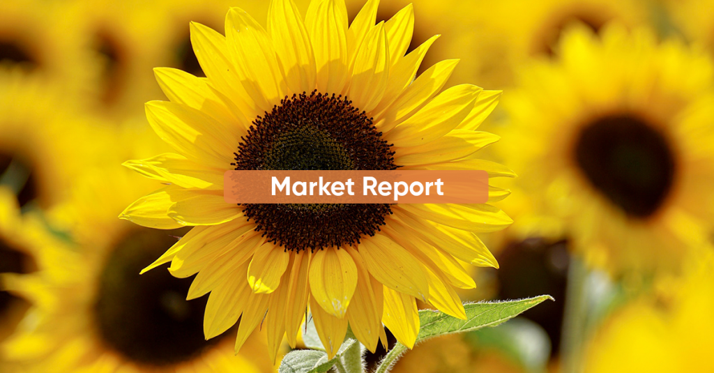 Market Report MARCH 2023