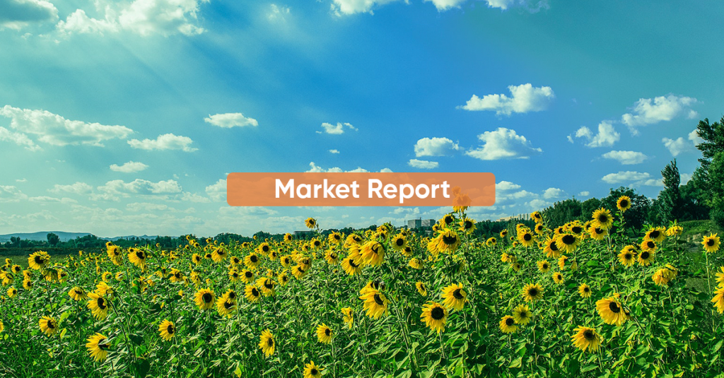 Market Report JULY 2023