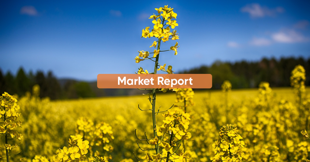 Market Report SEPTEMBER 2023