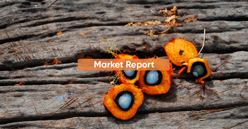 Market Report OCTOBER 2023