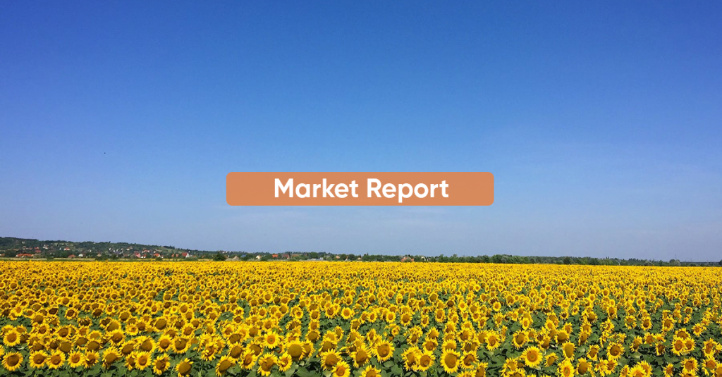 Market Report NOVEMBER 2023