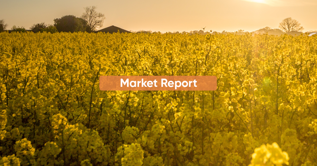 Market Report JANUARY 2024