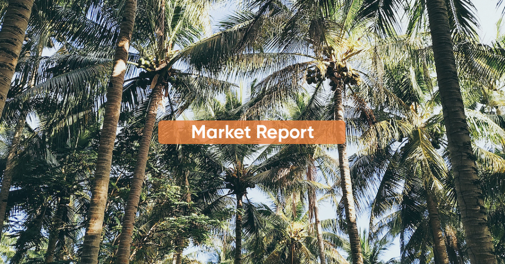 Market Report FEBRUARY 2024