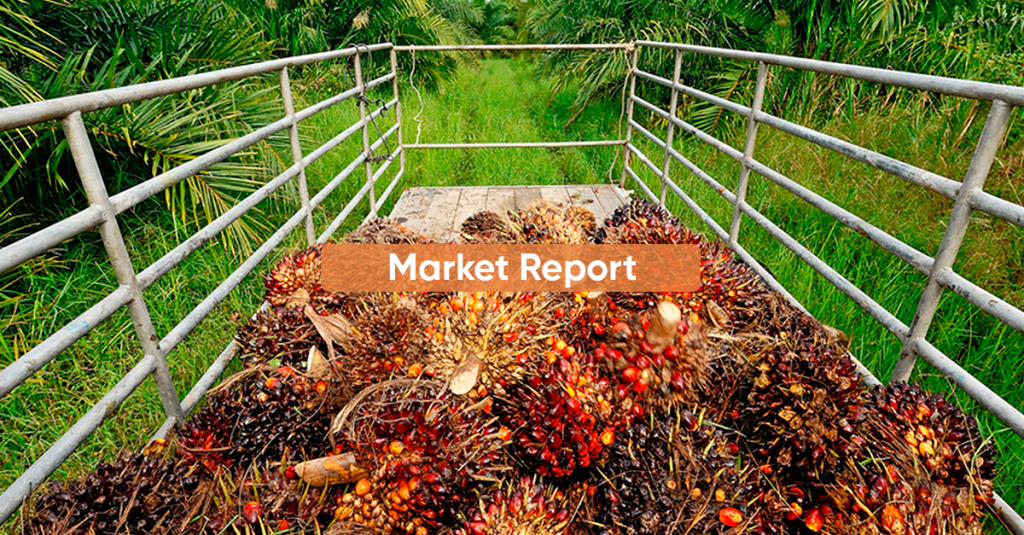 Market Report MARCH 2024
