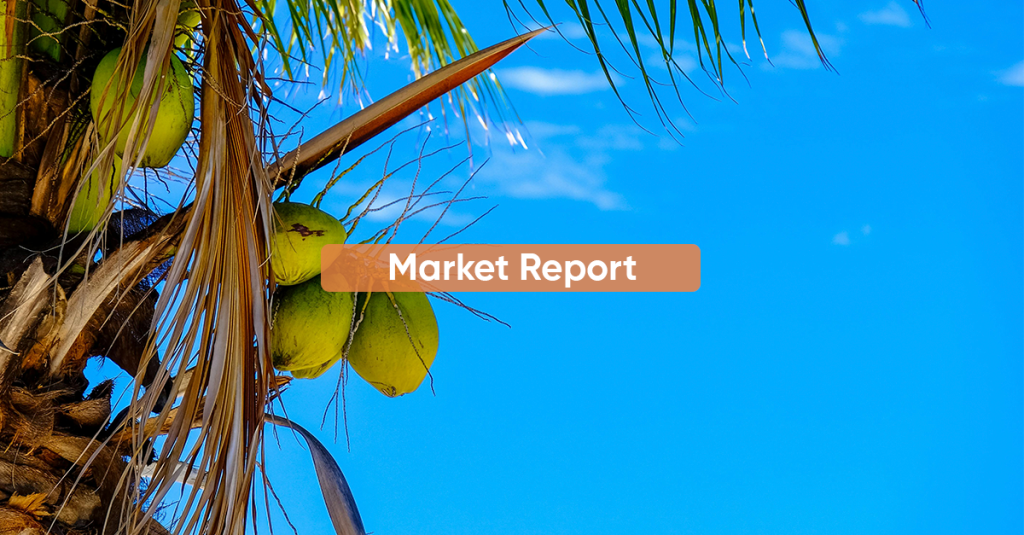 Market Report JUNE 2024
