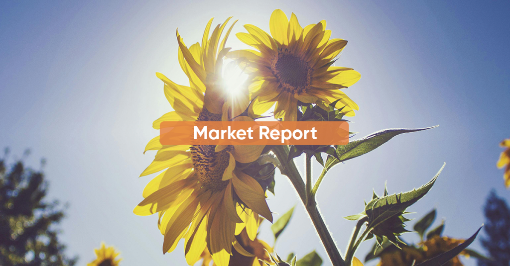 Market Report AUGUST 2024