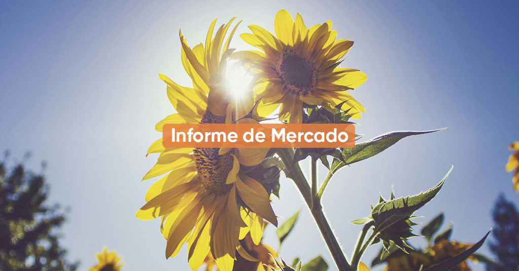 Informe de Mercado AGOSTO 2024