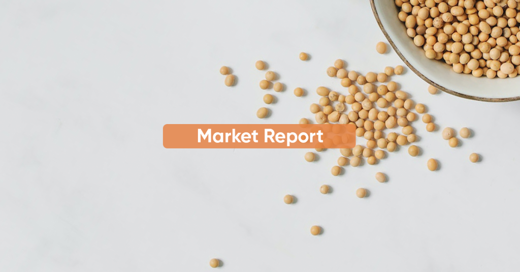 Market Report SEPTEMBER 2024