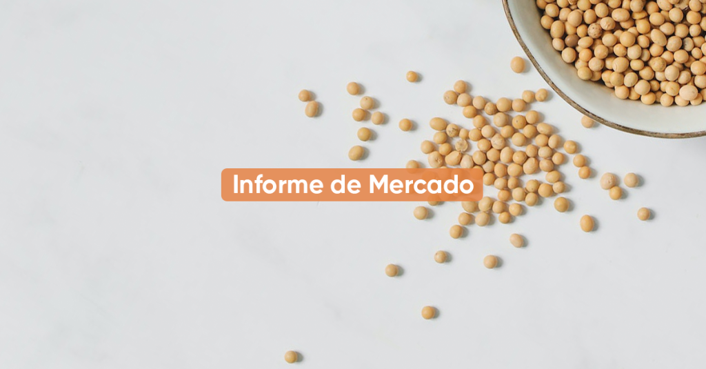 Informe de Mercado SEPTIEMBRE 2024