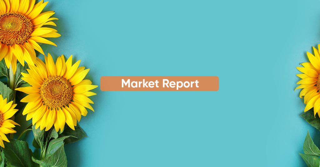 Market Report DECEMBER 2024