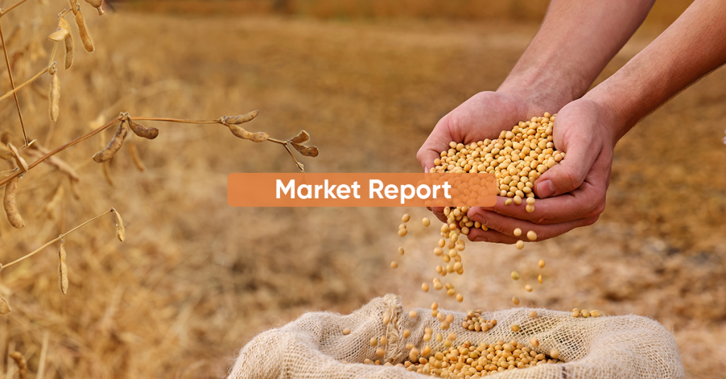 Market Report JANUARY 2025